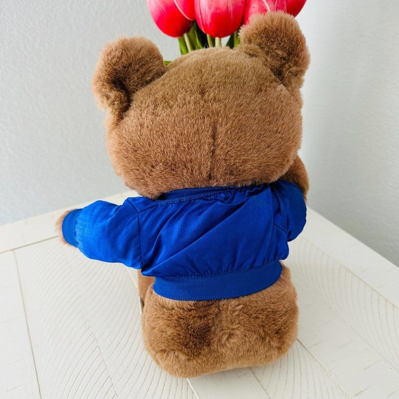 Trudy Teddy Bear NFL Seattle Seahawks Team Plush Stuffed Animal 14" Vintage 80s - Picture 7 of 8